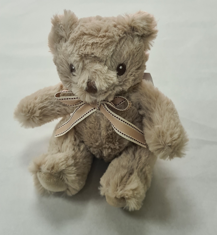 Teddy Bear gift